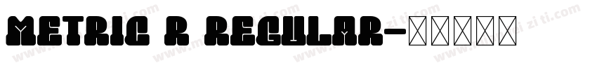 Metric R Regular字体转换